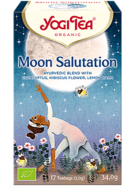 Yogi Moon Salutation 17b